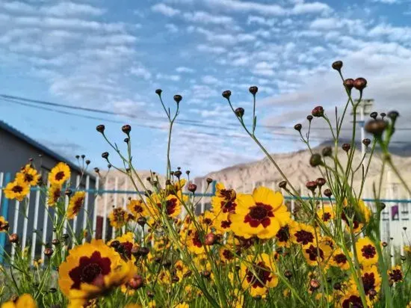 Axis Laktagek Homestay