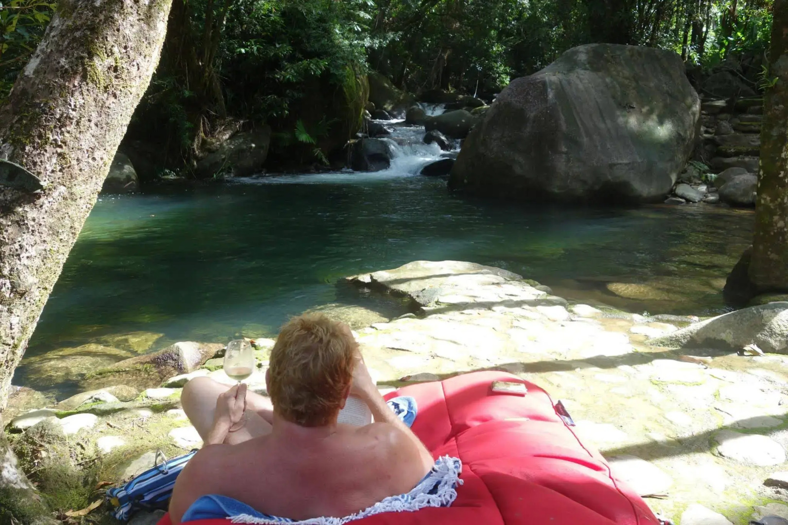 Daintree Secrets Rainforest Sanctuary