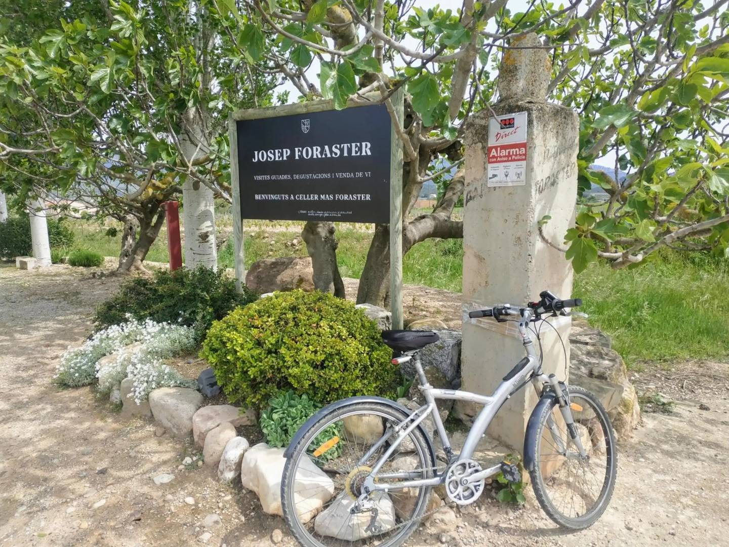 La terrasseta
