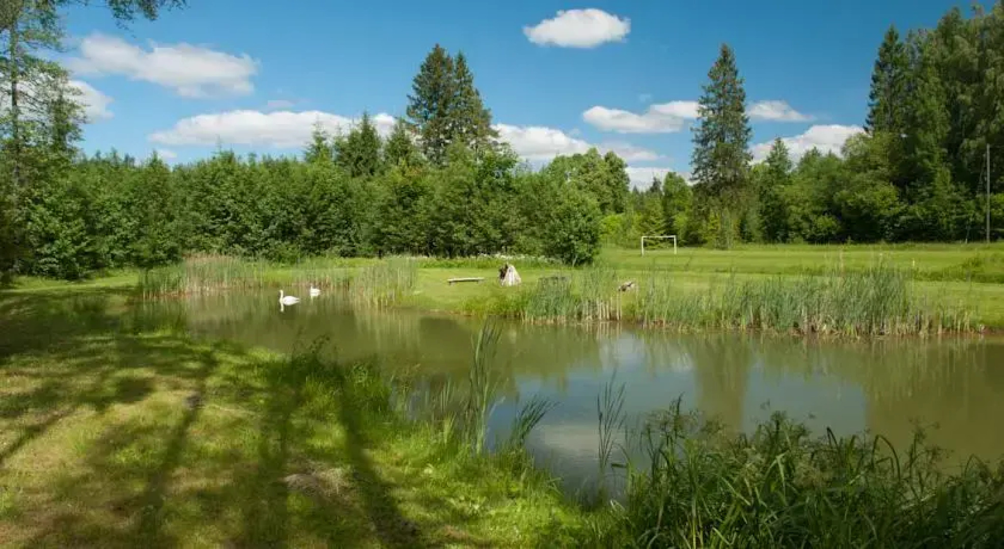 Guesthouse Linnamehe