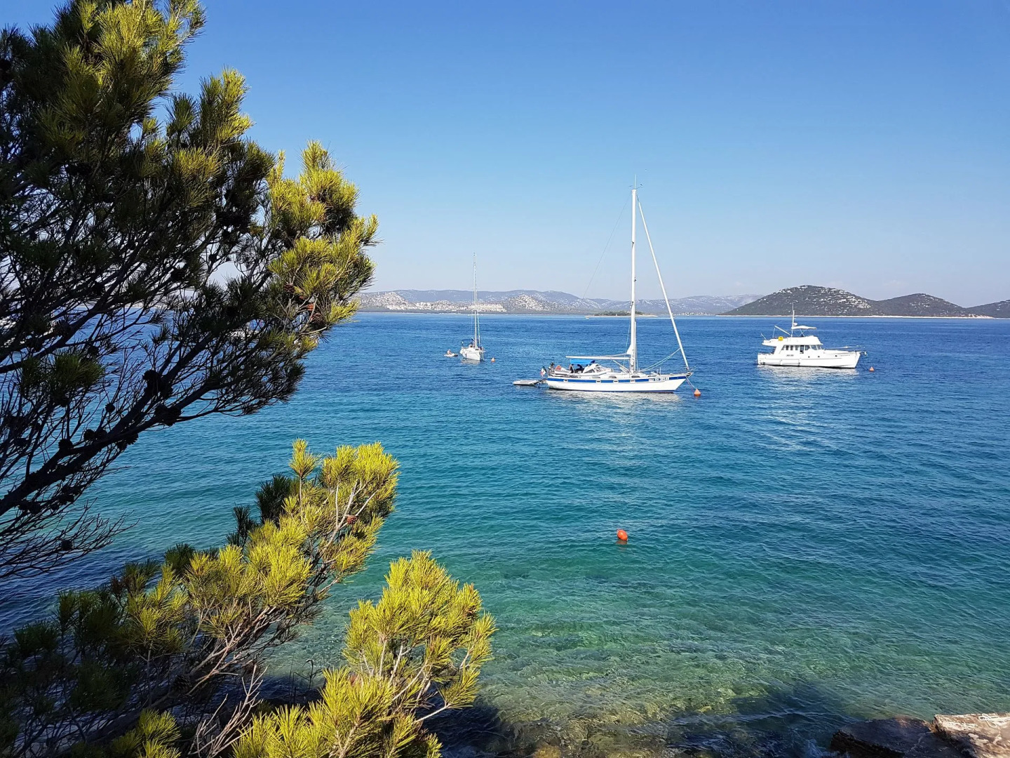 Apartment Ivo - relaxing & comfortable: A1 Vrgada (Island Vrgada), Riviera Biograd