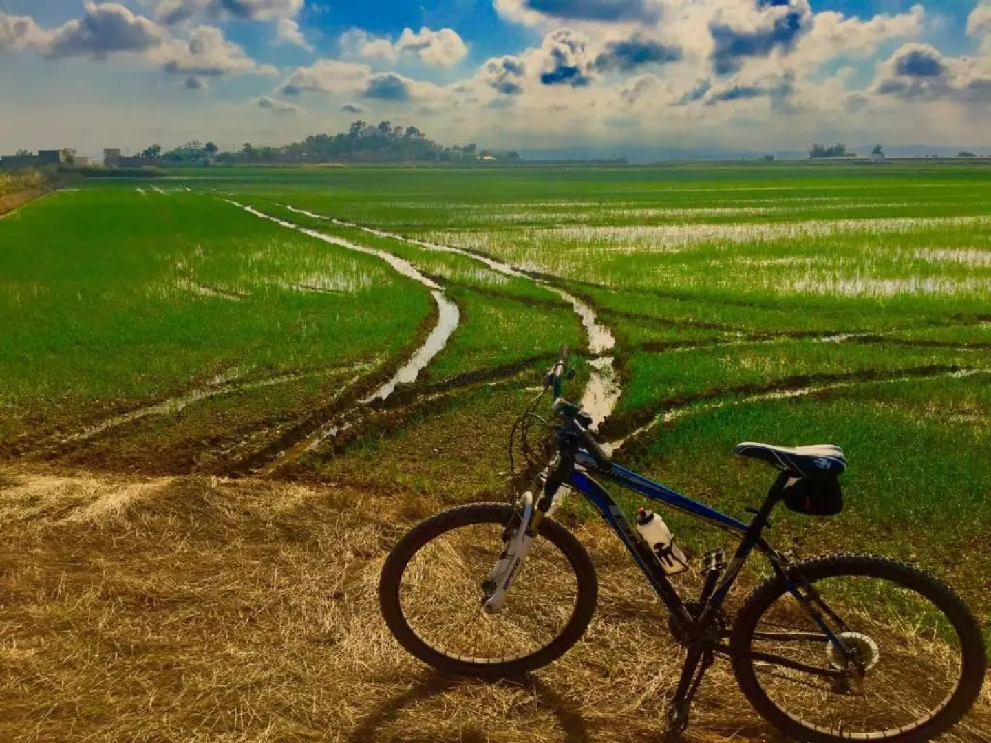 Large Apartment with Sea Views