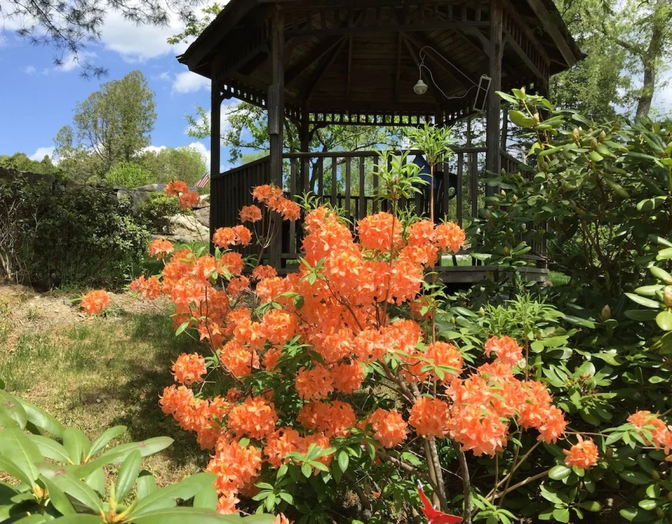 Camden Riverhouse Hotel