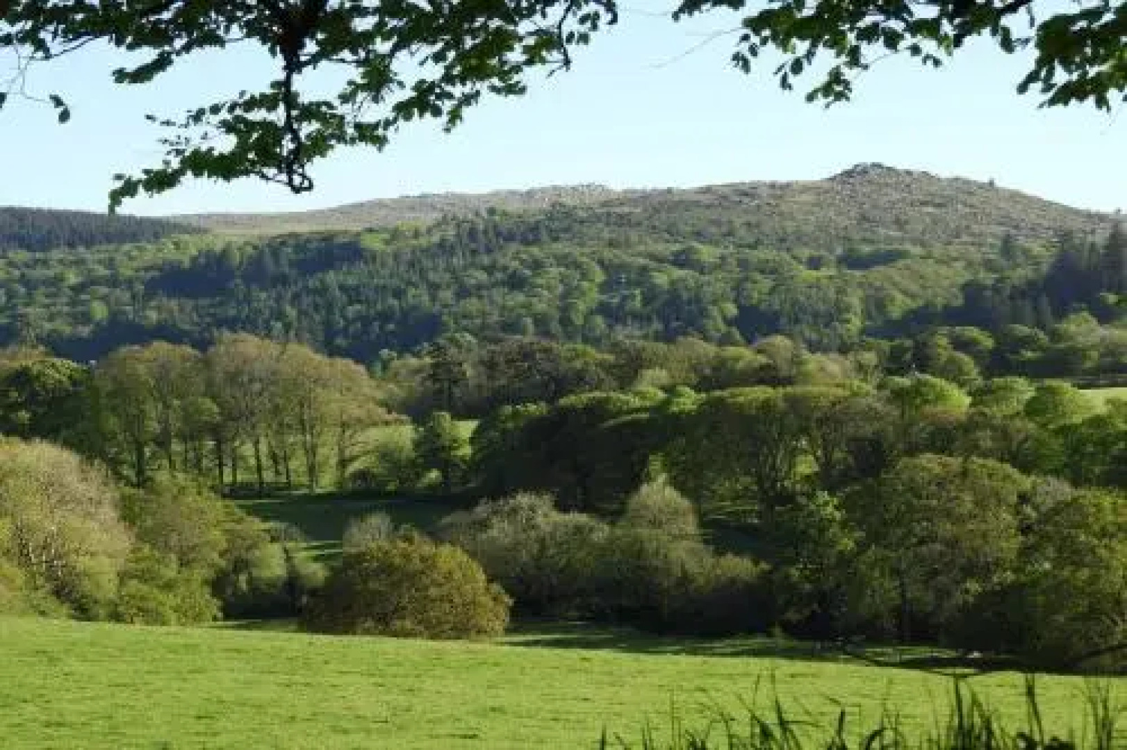 The West Wing at Trevadlock Manor