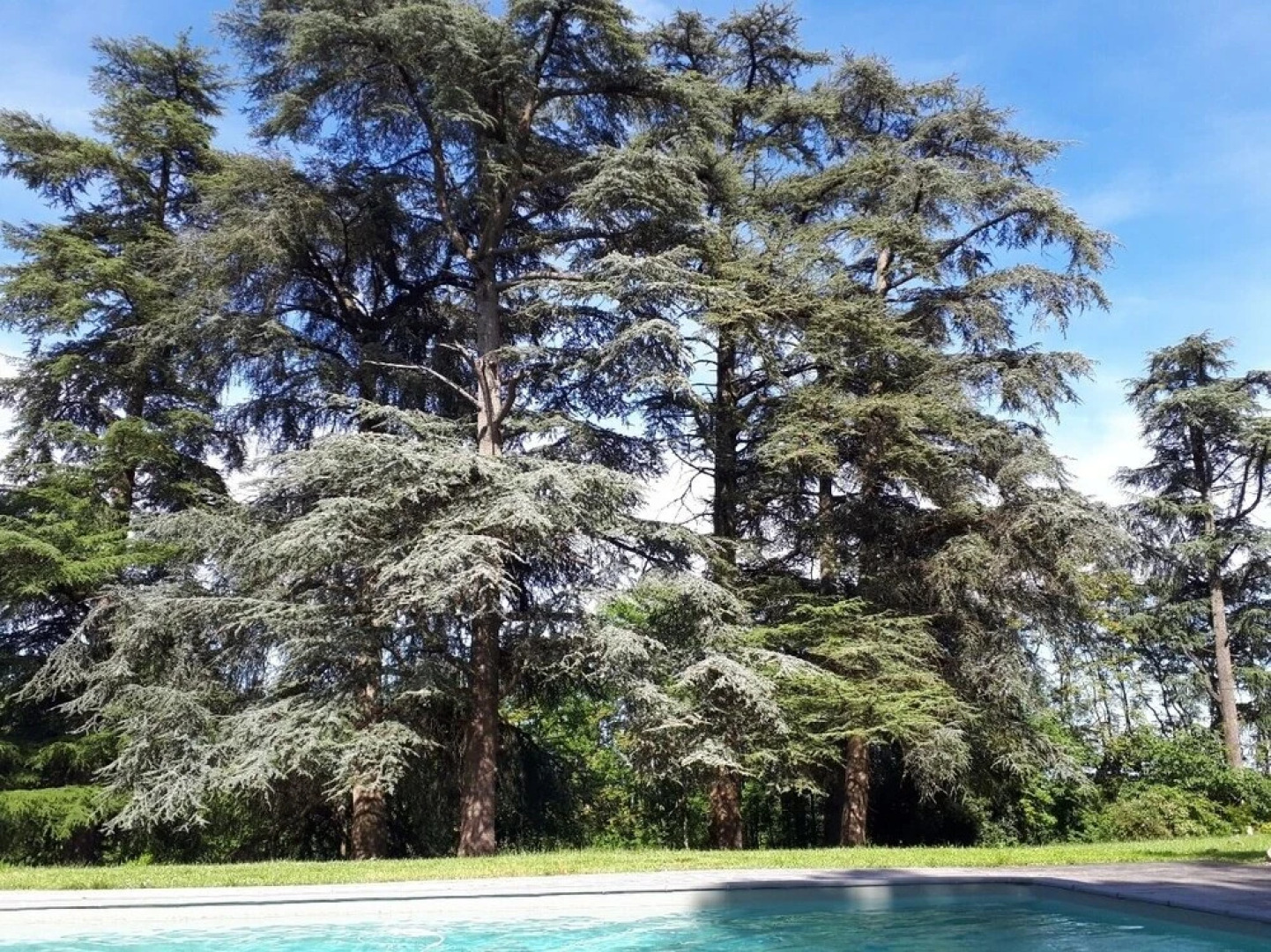 Le Jardin Des Cèdres