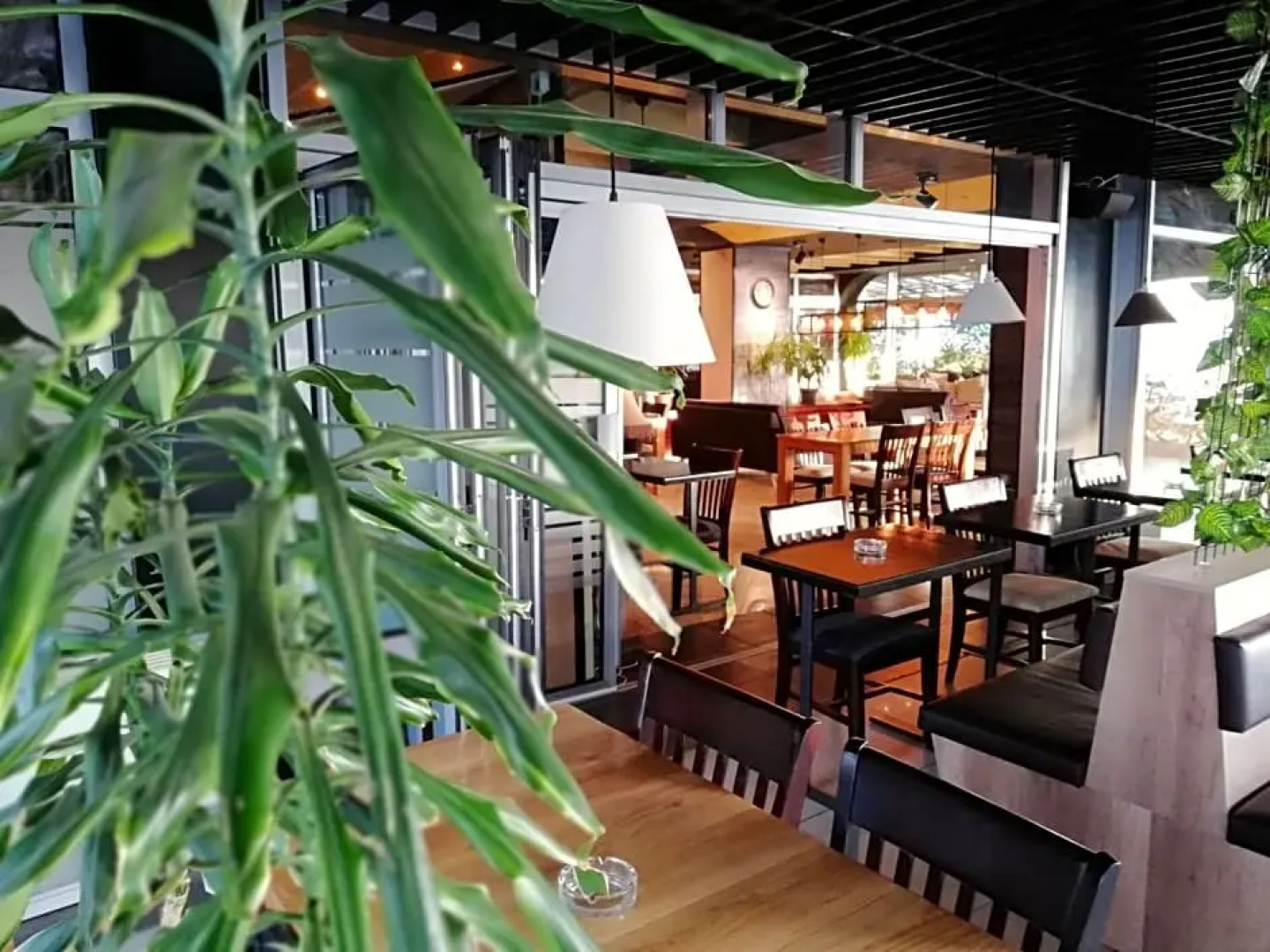 Royal View Hotel And Spa