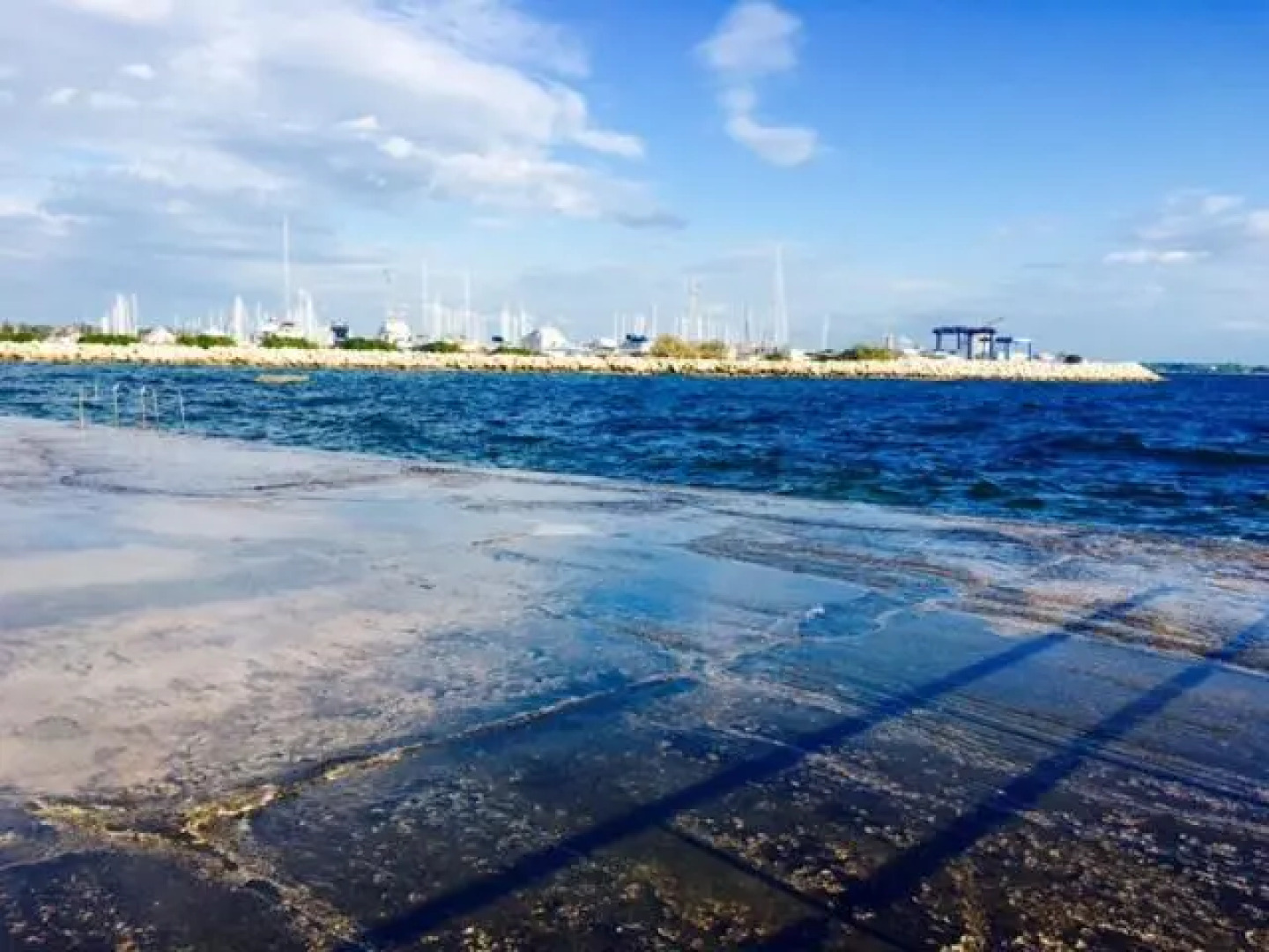 Apartment Umag Nelly