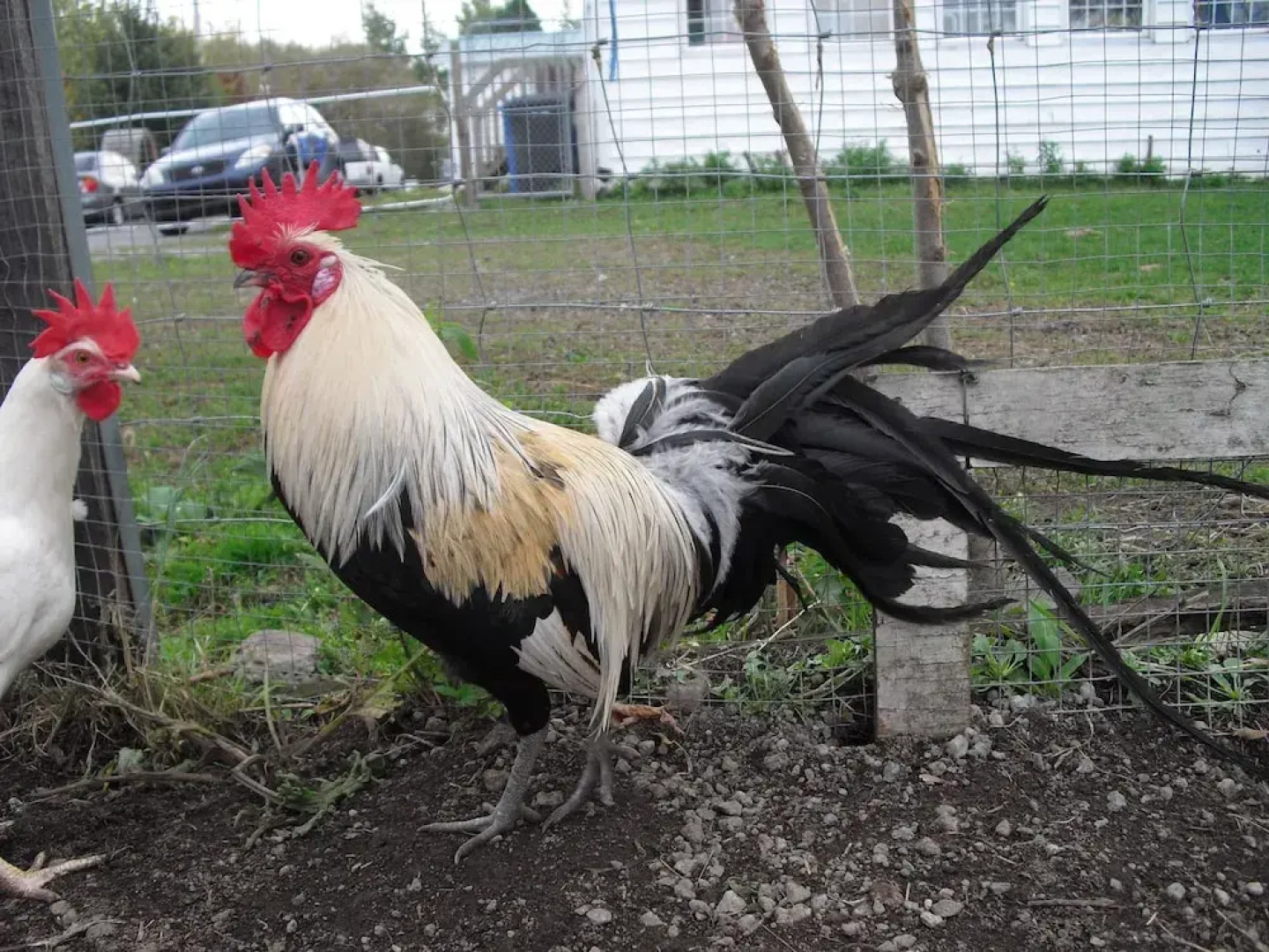 Chez Jacques et Chantale B&B