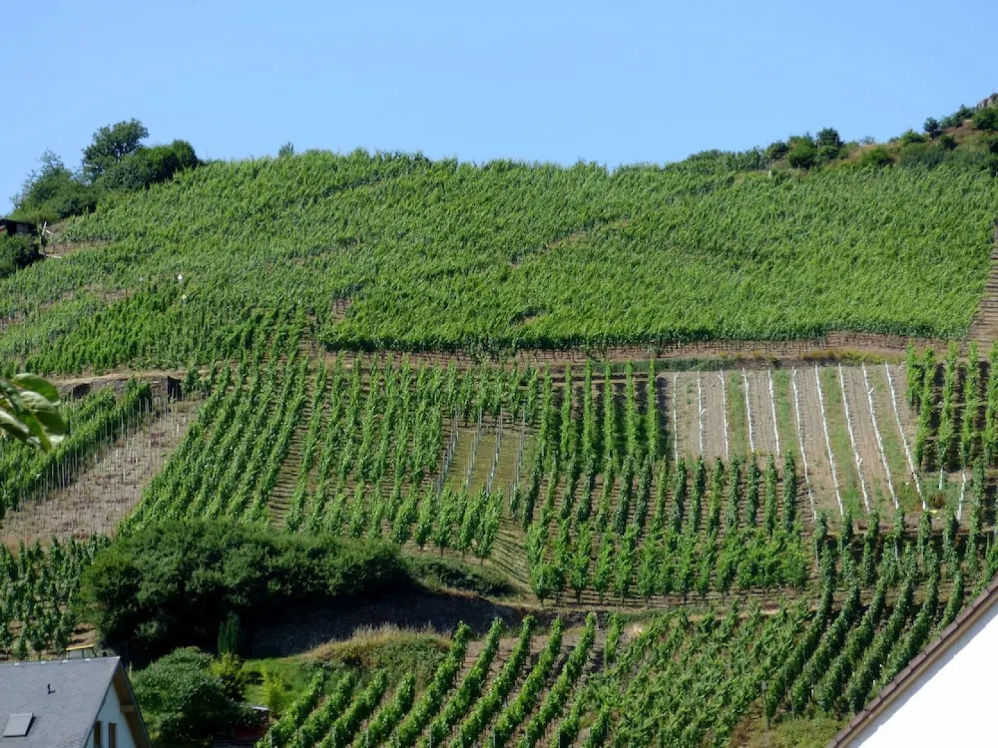 Relaxen im Winzerdorf Mayschoss Fewo OG