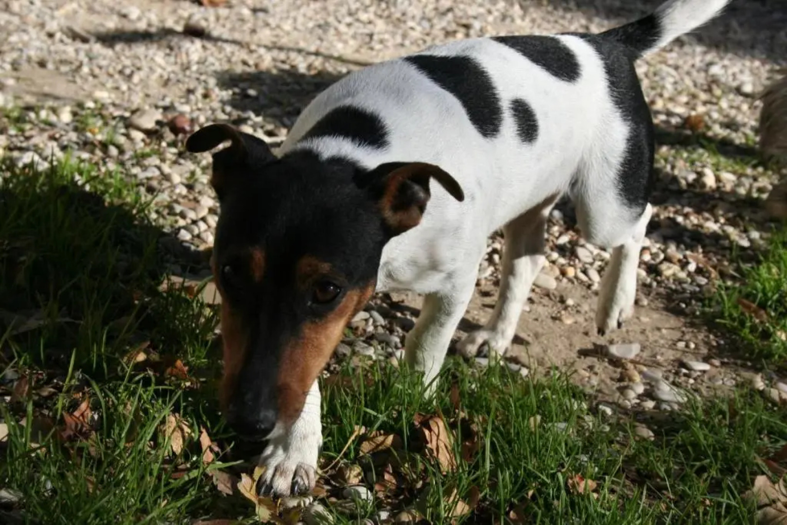 Château Le Martinet
