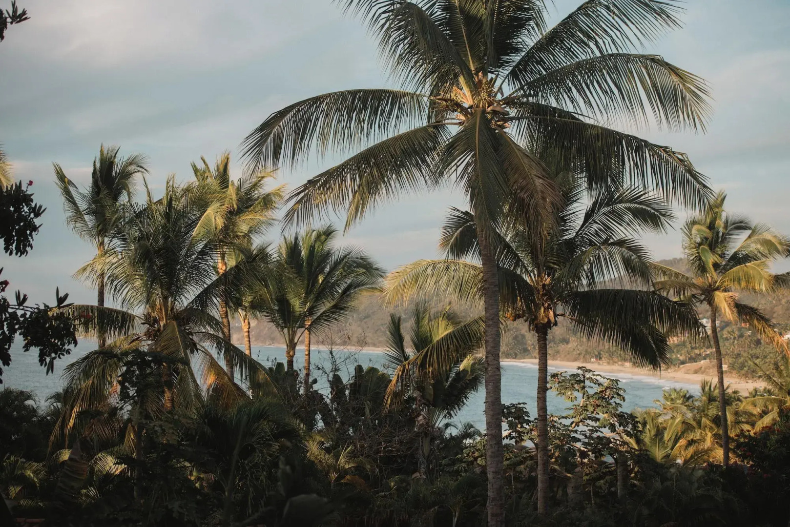 Distrito 88 - Adults only