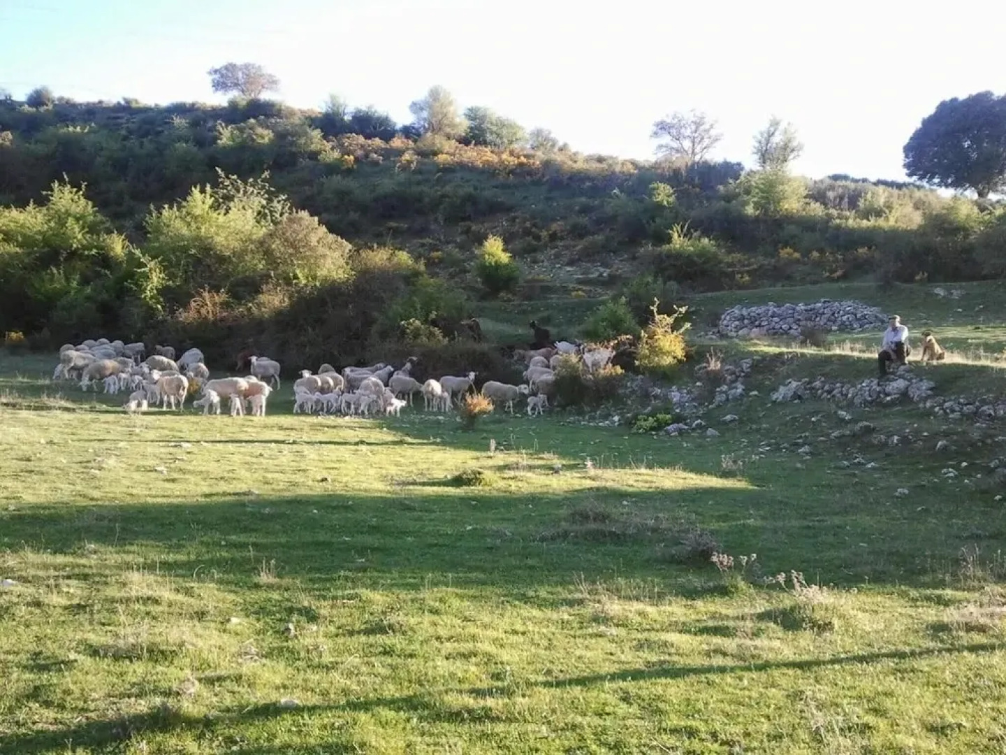 Apartment With one Bedroom in El Cerezo, With Pool Access, Enclosed Garden and Wifi