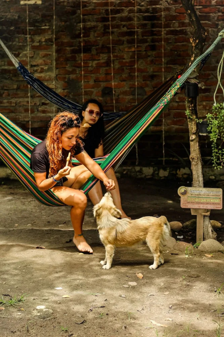 Hospedería Sol Del Desierto - Hostel