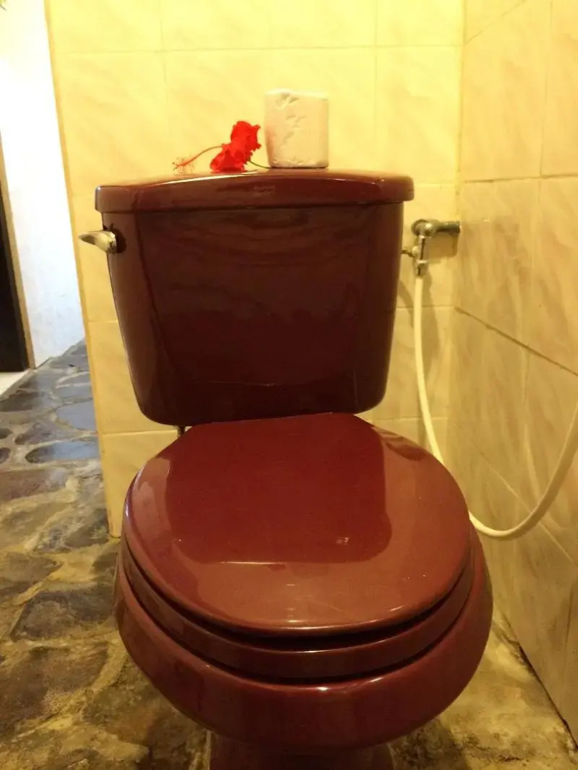 Pacung Indah Hotel & Restaurant