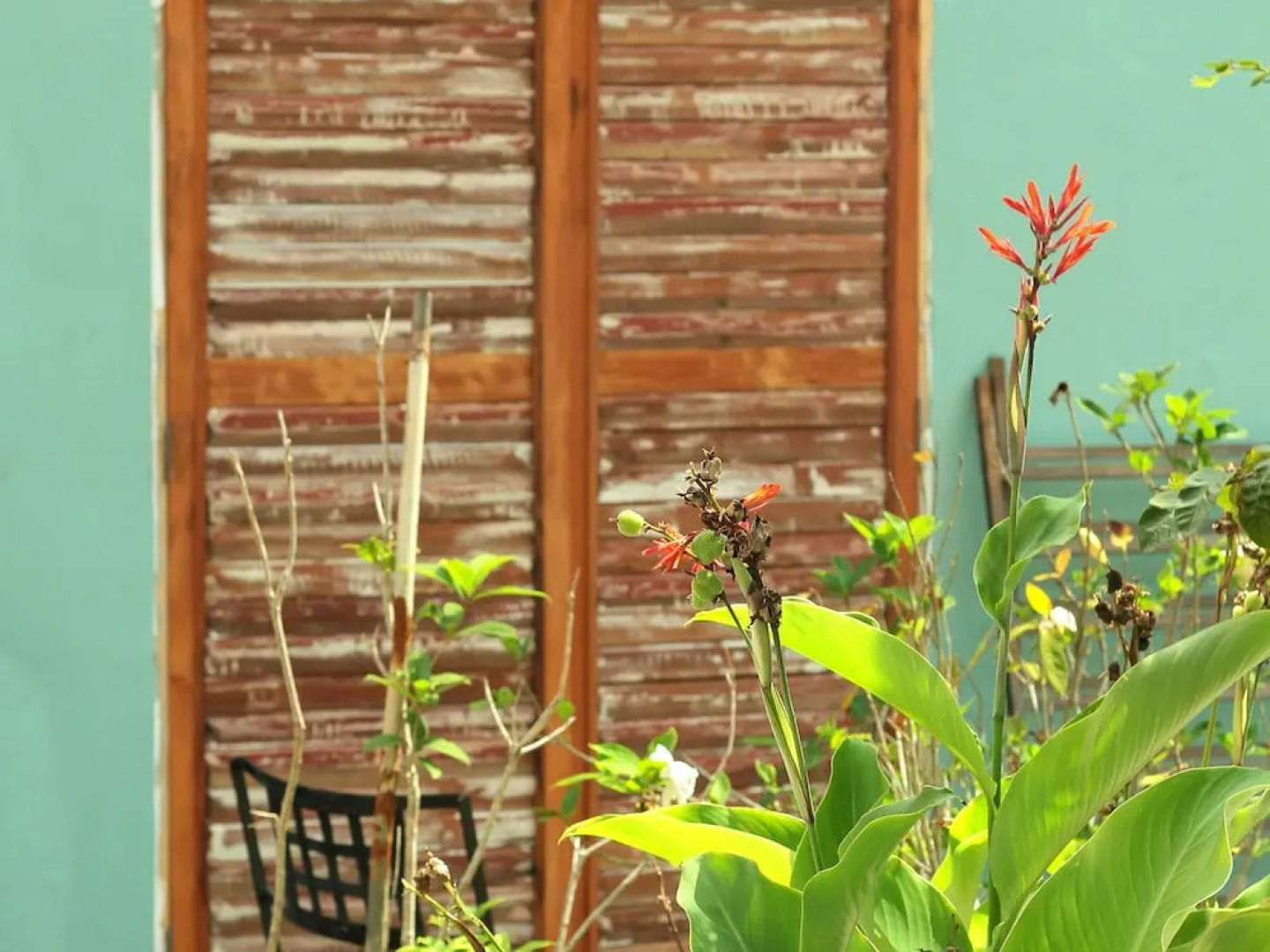 Casa Alma Zen - Hostel Boutique