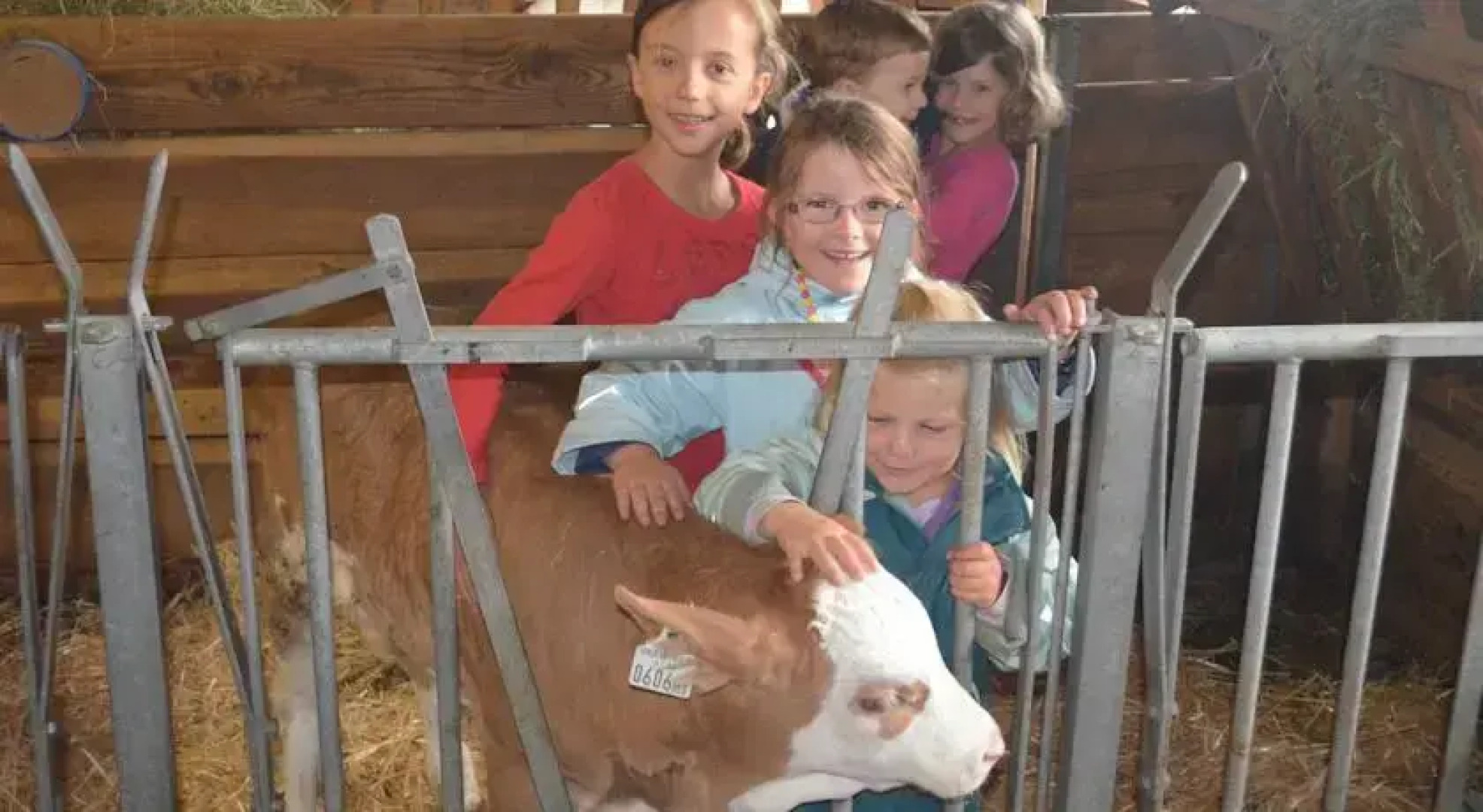 Appartements Obergollerhof