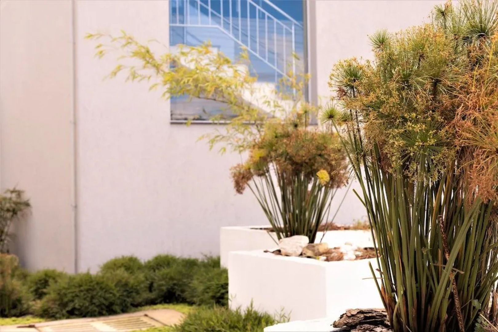 Pinna Business Hotel