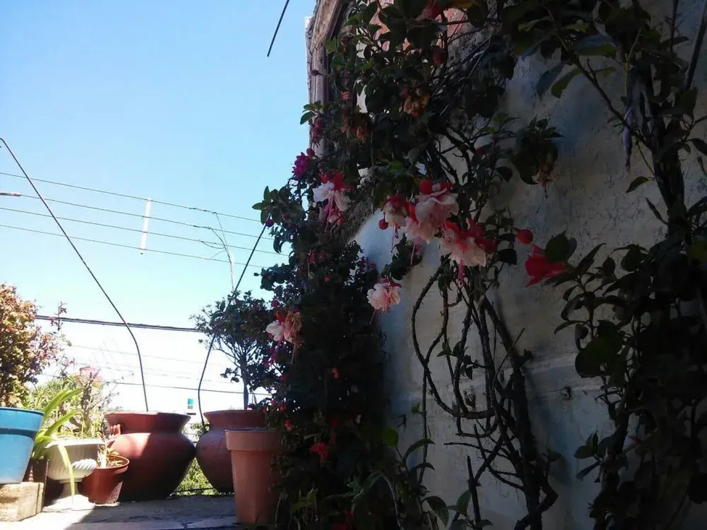 Hotel La Gaviota