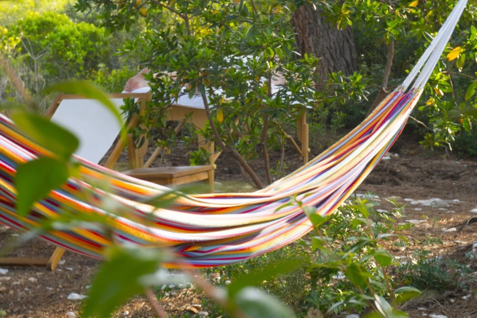 Victorious Viscovery