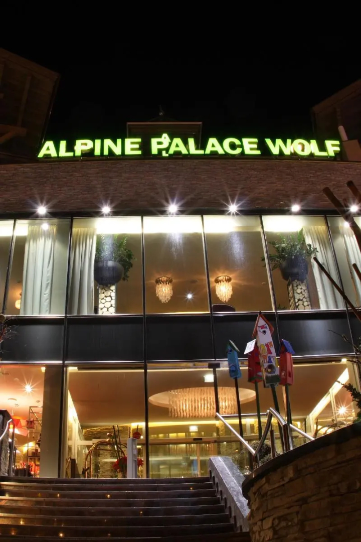 Hotel Alpine Palace