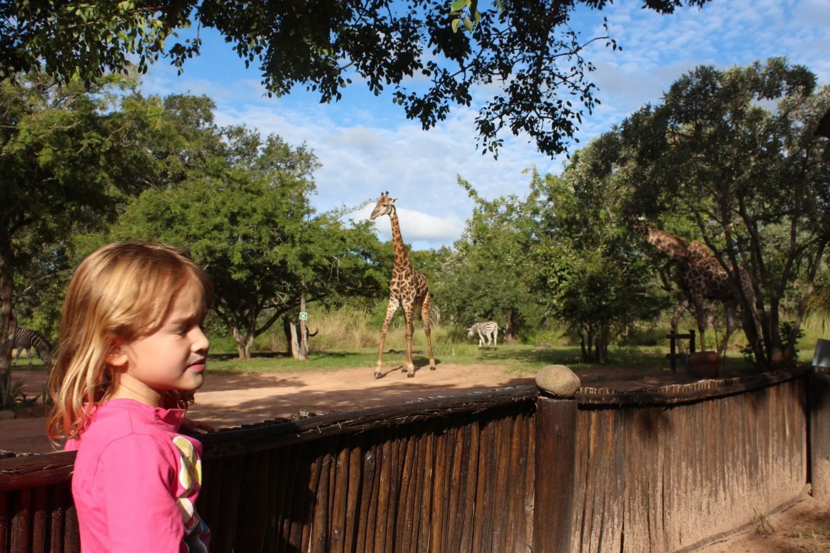 Thornhill Safari Lodge