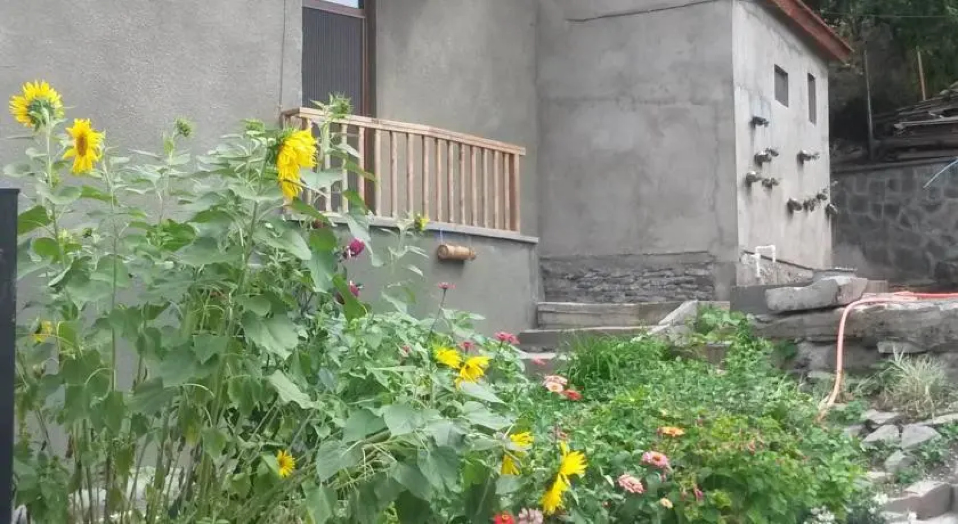 Rooms For Rent In Borjomi