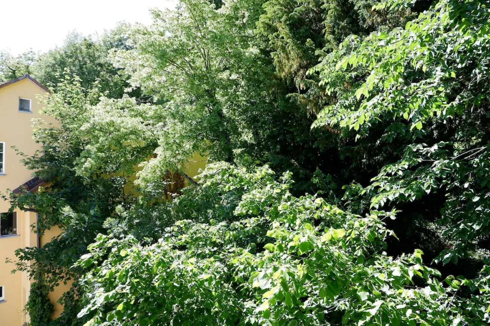 3-Zimmer Apartment in Altstadtlage