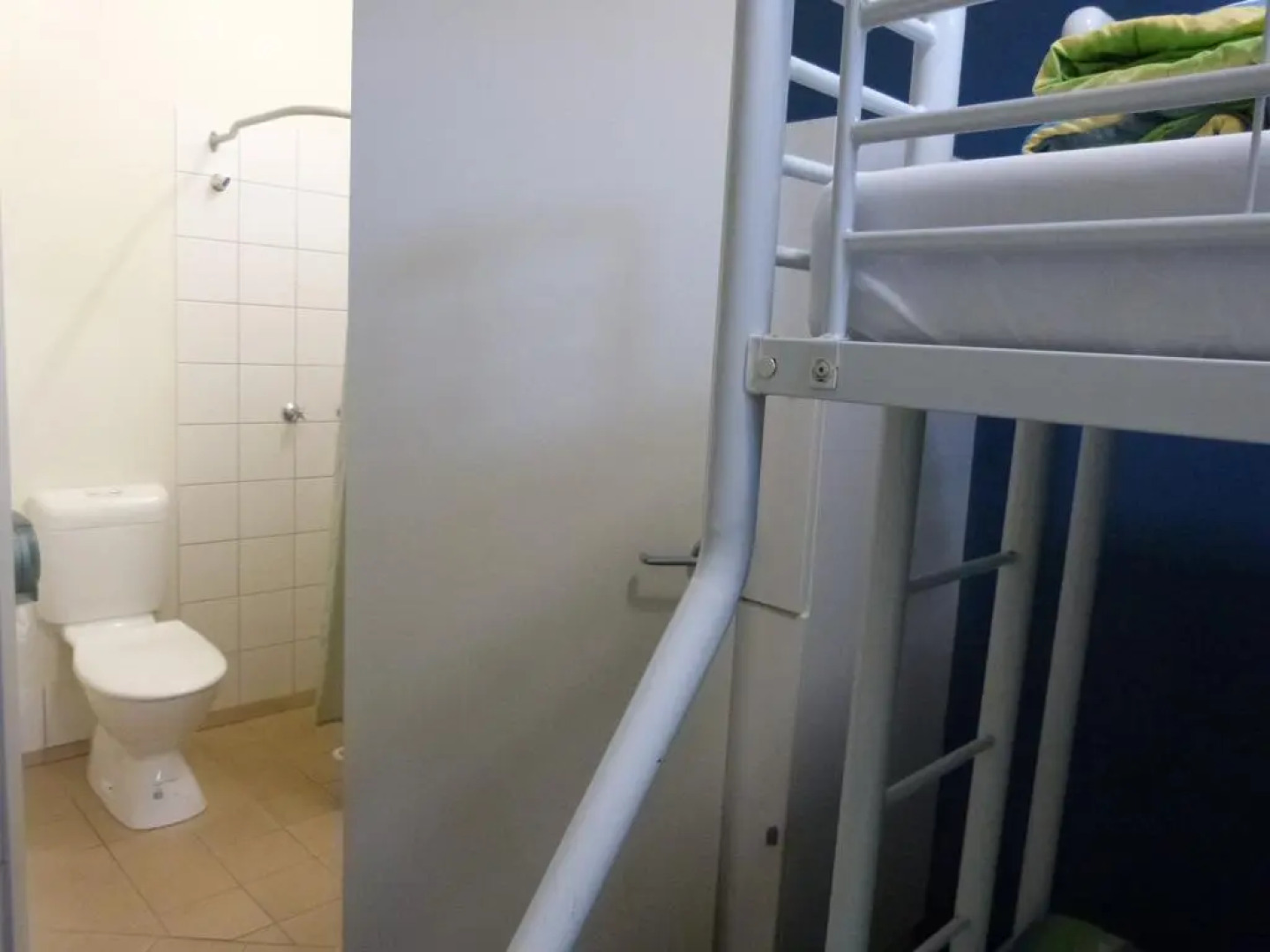 Melaleuca On Mitchell