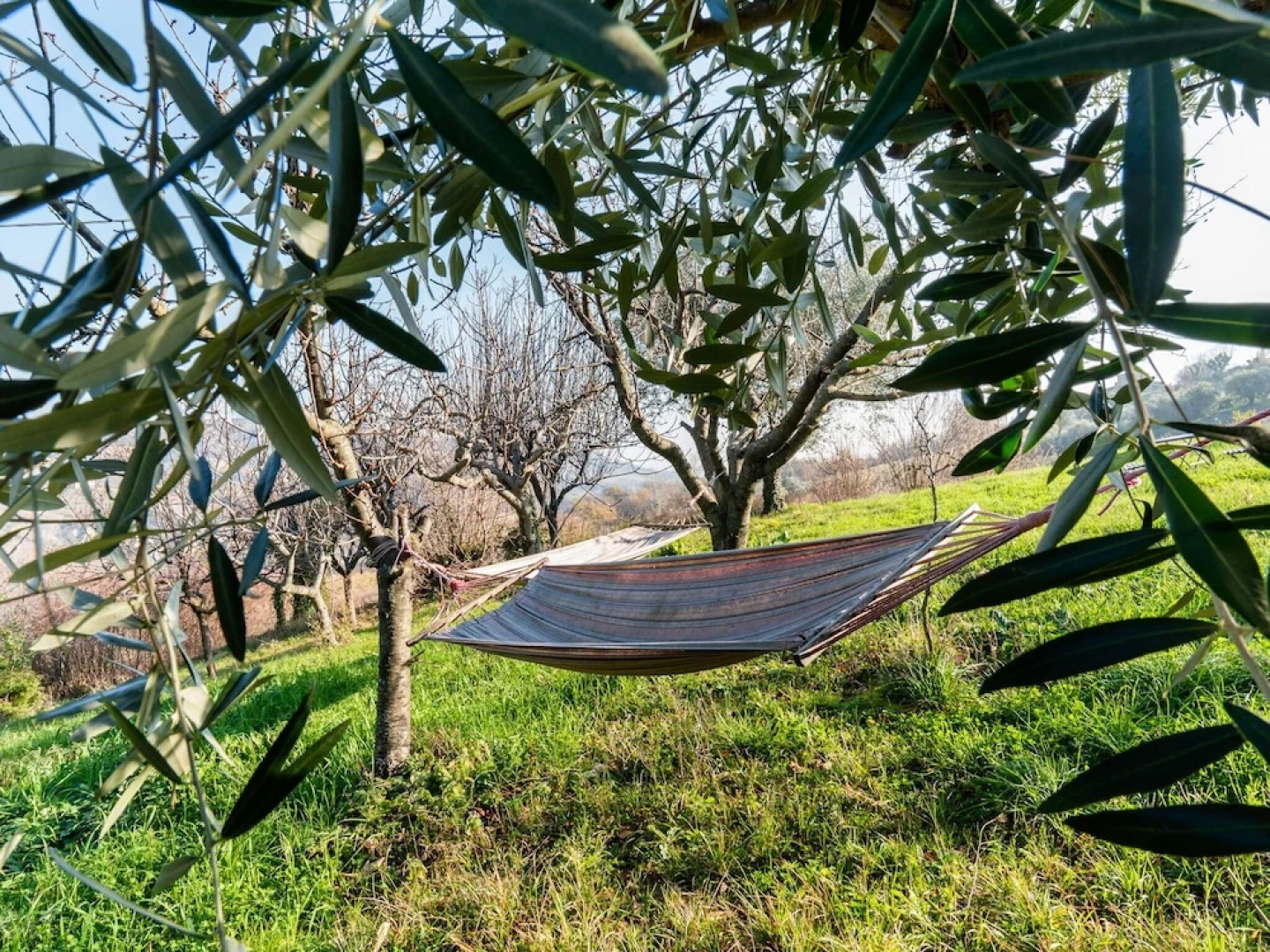 Charming Apartment in Monteprandone With Garden