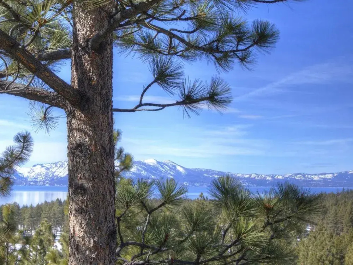 Modern Lake Village with Great Views 3 Br condo by RedAwning