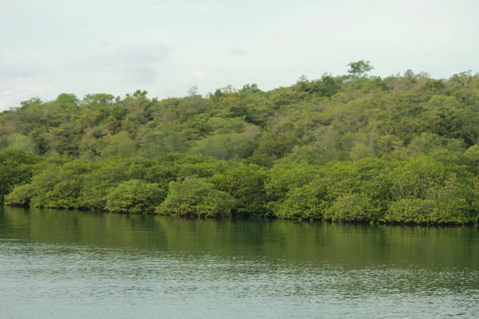 White Sandy Beach Menjangan
