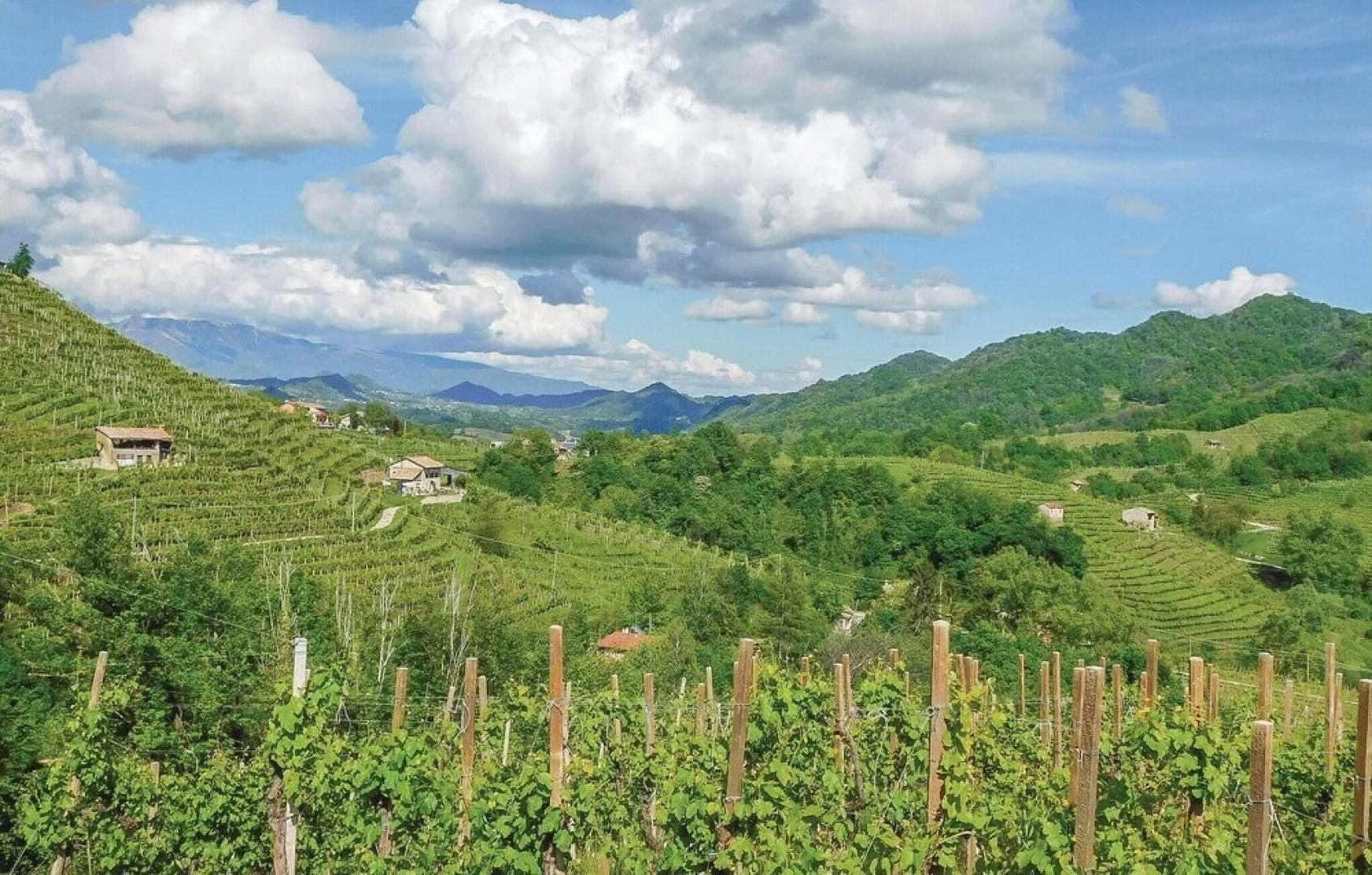 Amazing Home in Vittorio Veneto TV With 3 Bedrooms and Wifi