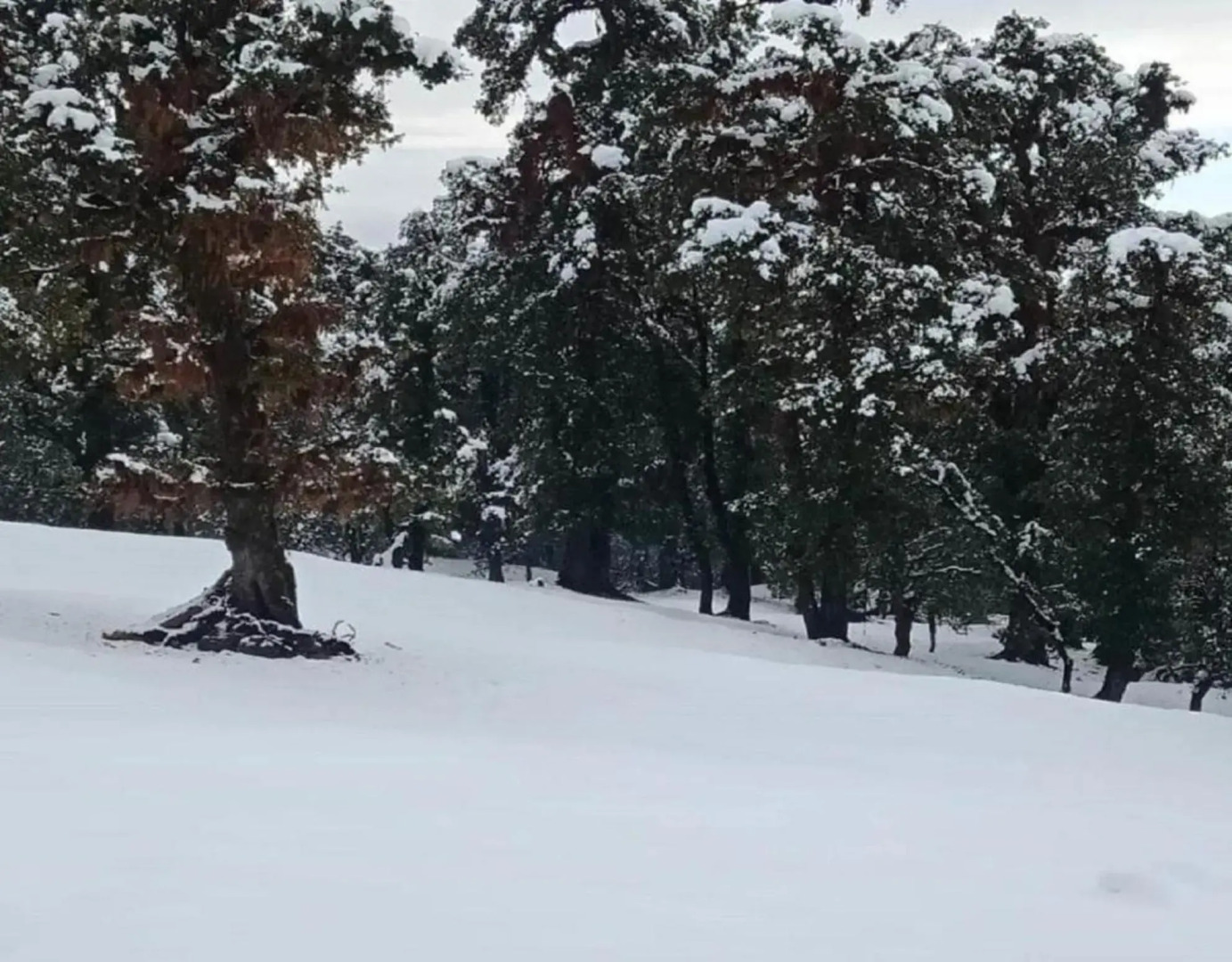 Camping at Deoriatal Adventure Camps