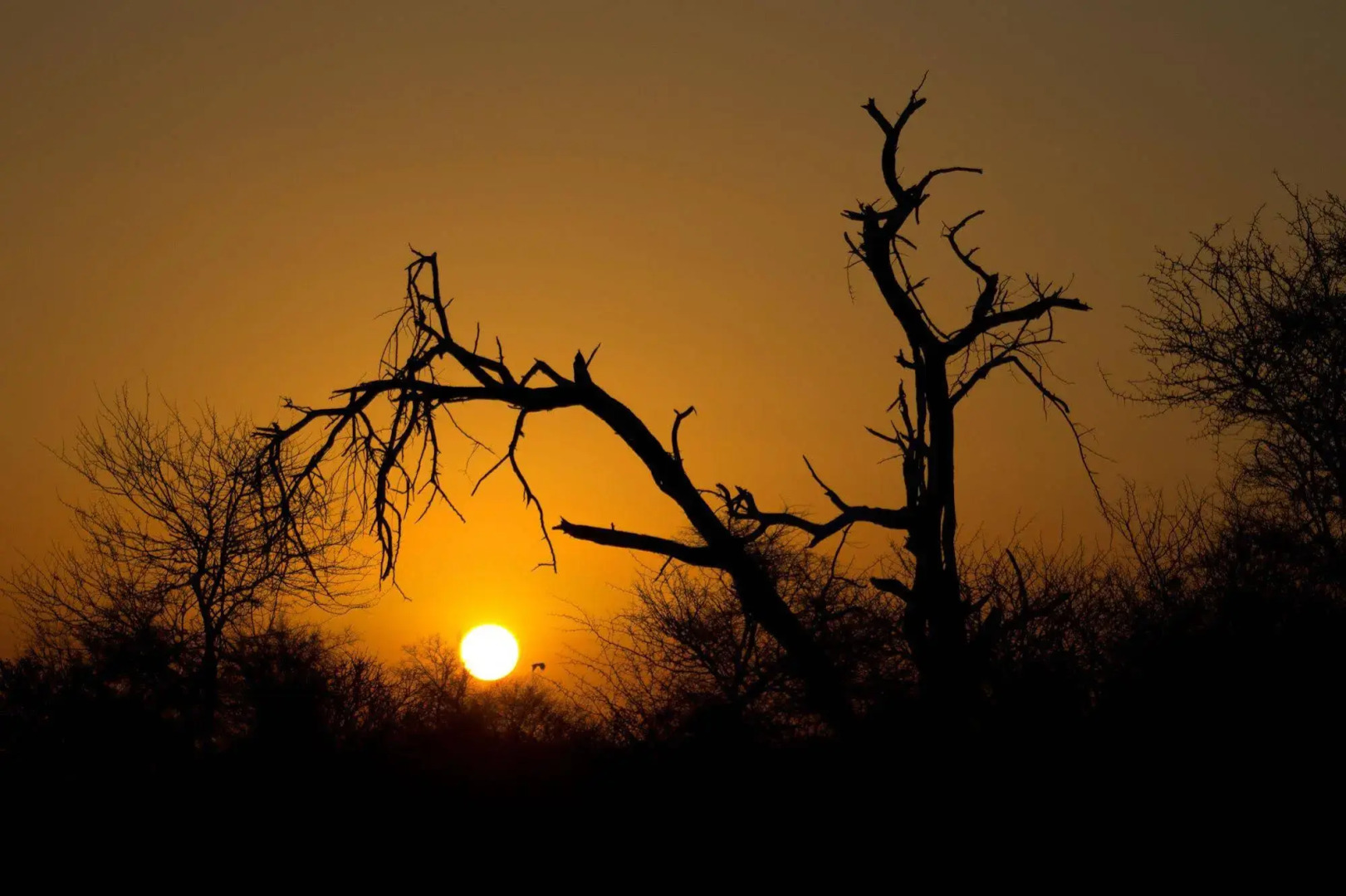 Rhino Ridge Safari Lodge