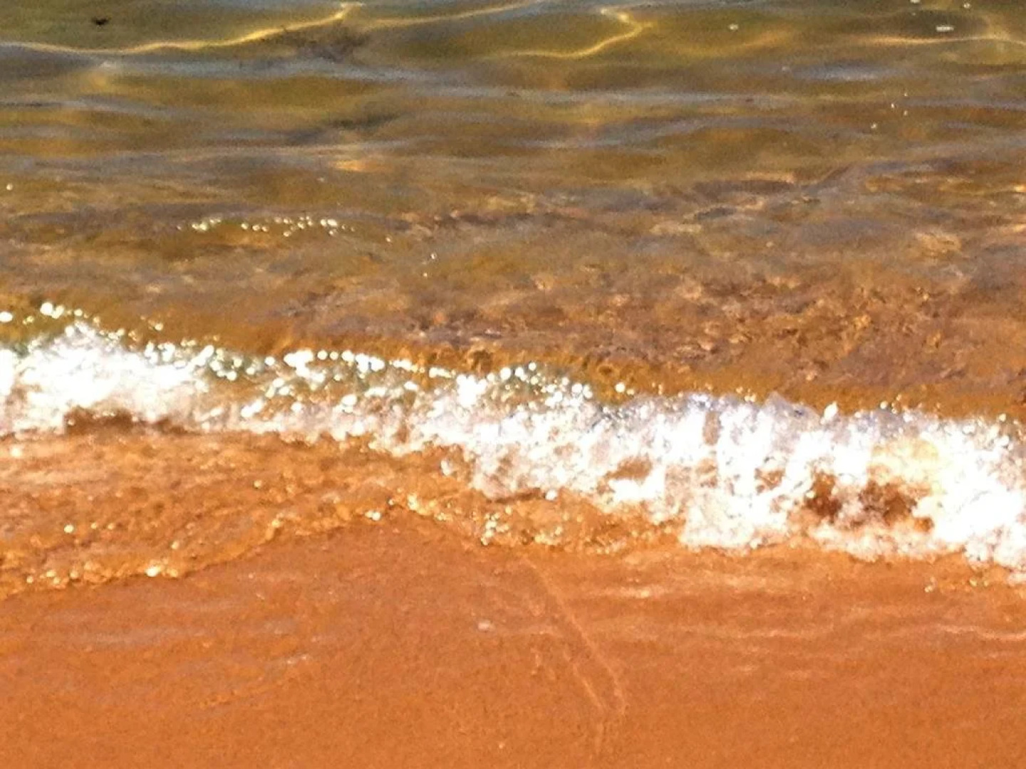 Life's A Beach Backpacker