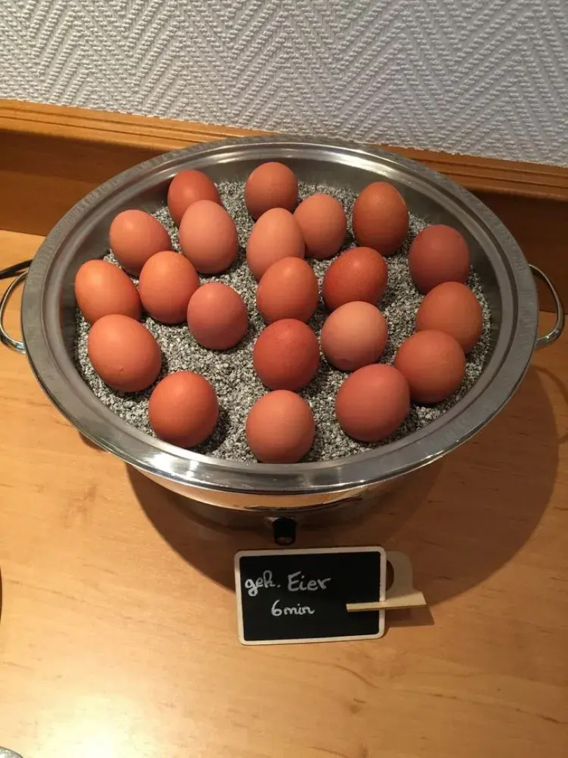 Hotel Hasselhof Superior