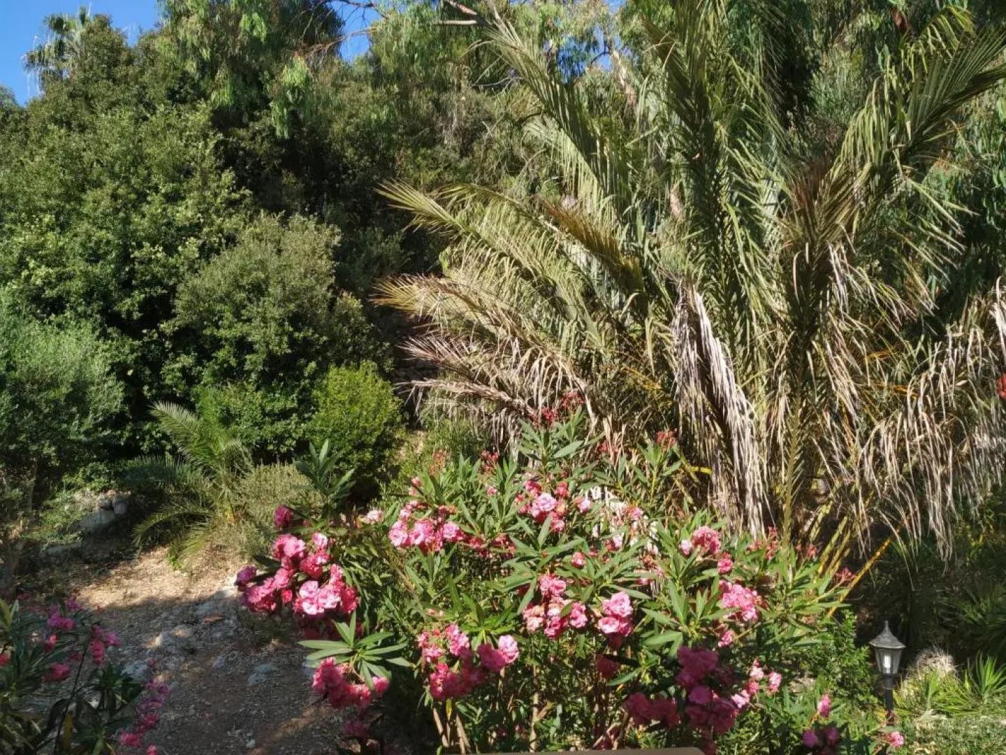 Galdana Sun And Beach