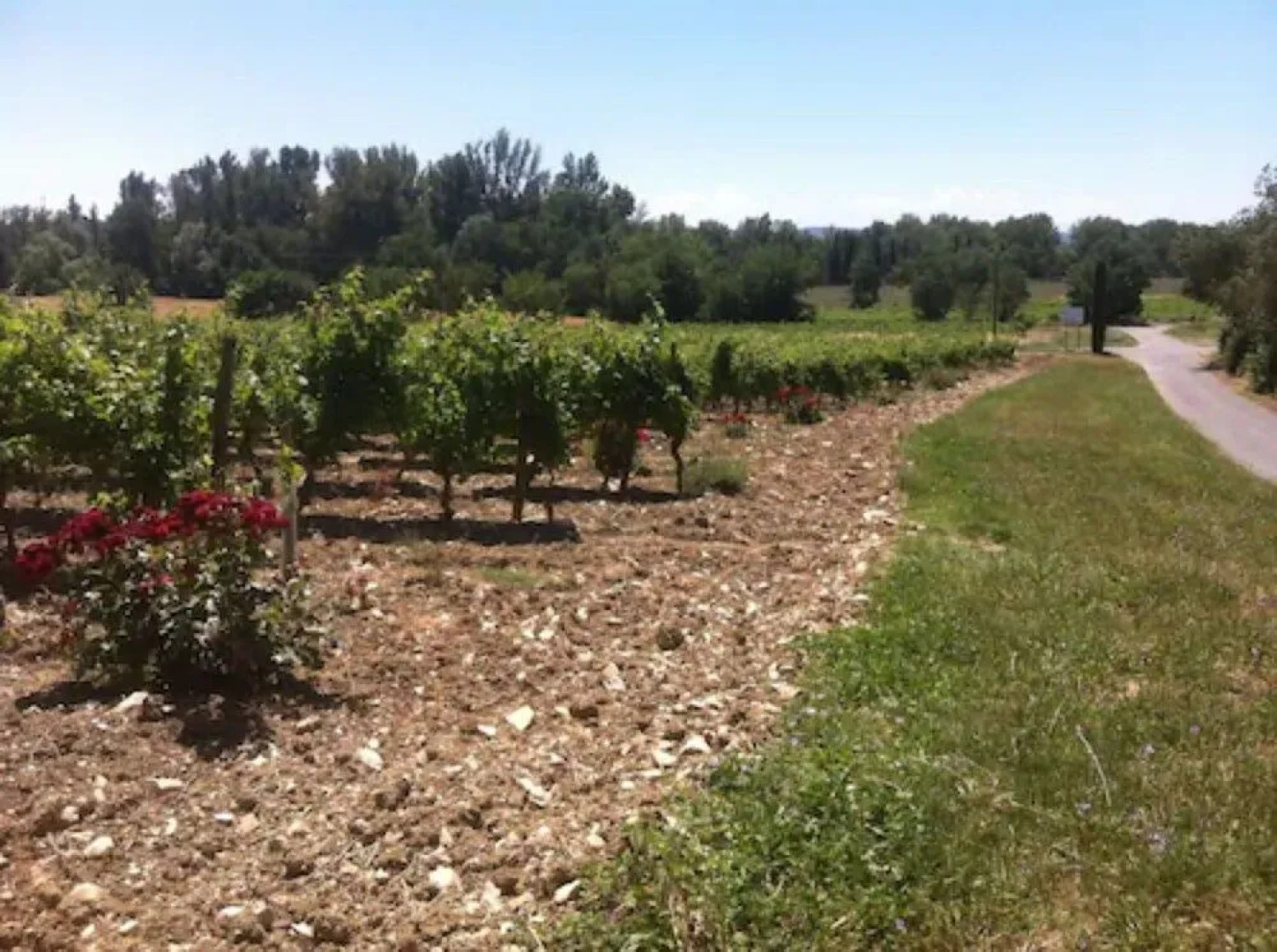 Chez Mina chambres d'hôtes