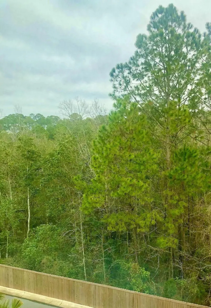 Fairfield by Marriott Inn & Suites Pensacola Pine Forest