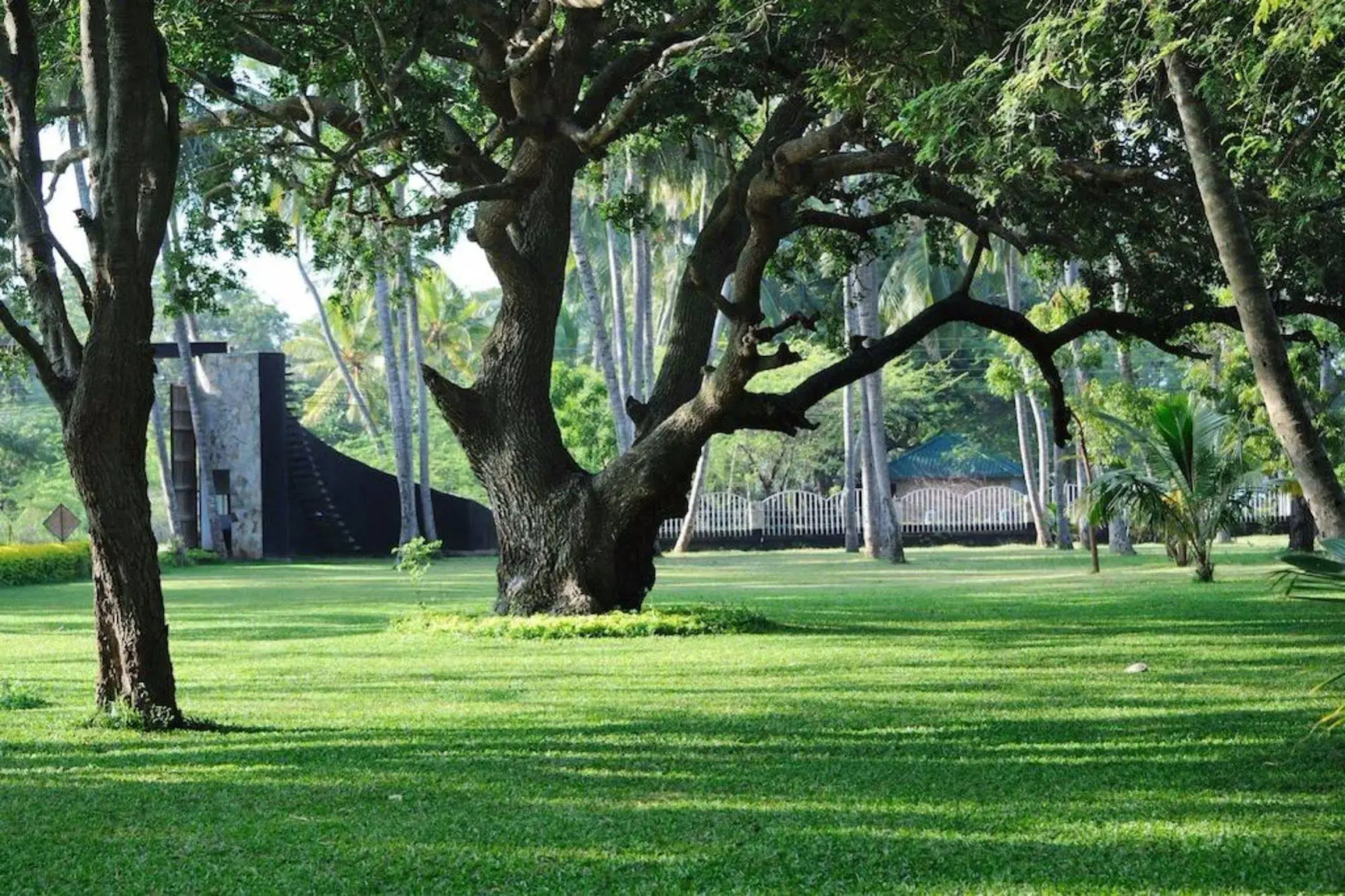 Peacock Beach Resort & Spa