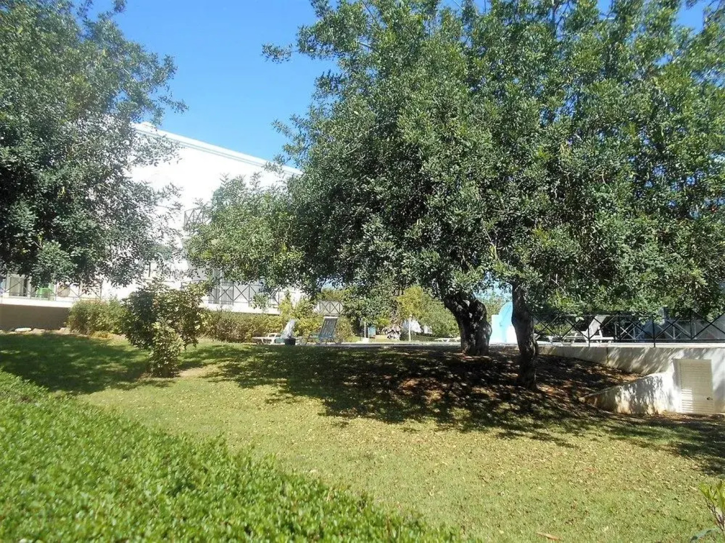 Tavira Garden