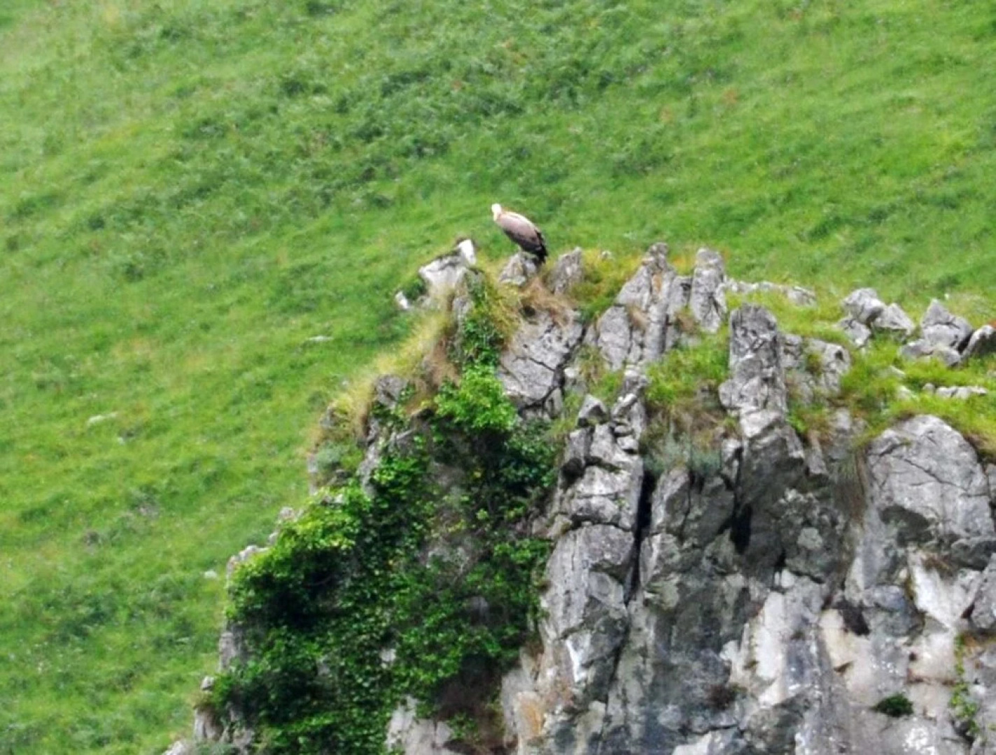 House With 6 Bedrooms in San Roque de Riomiera, With Wonderful Mountai