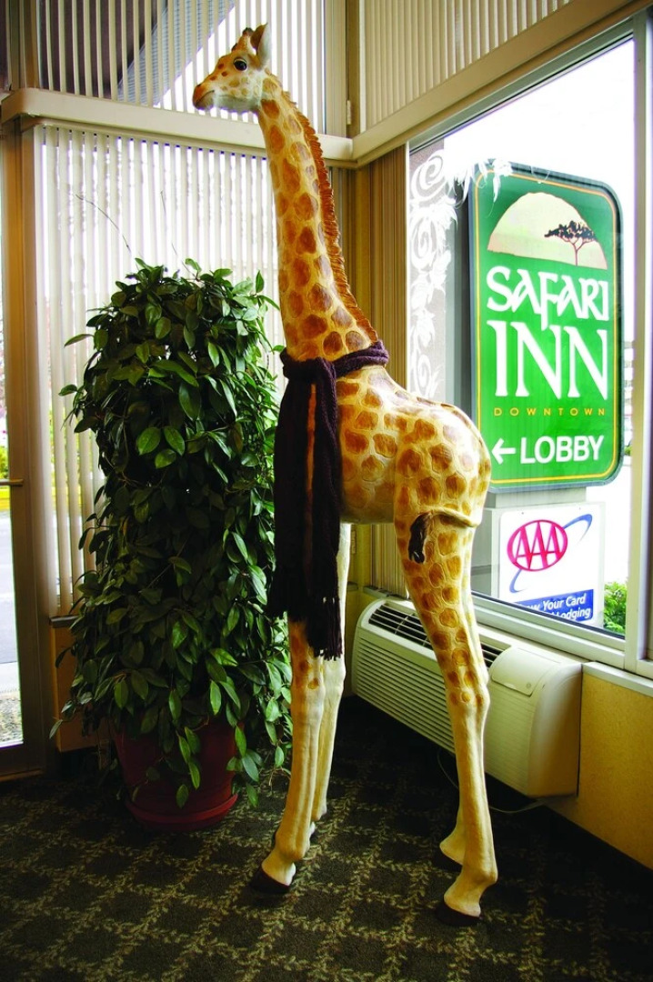 Safari Inn Downtown Boise
