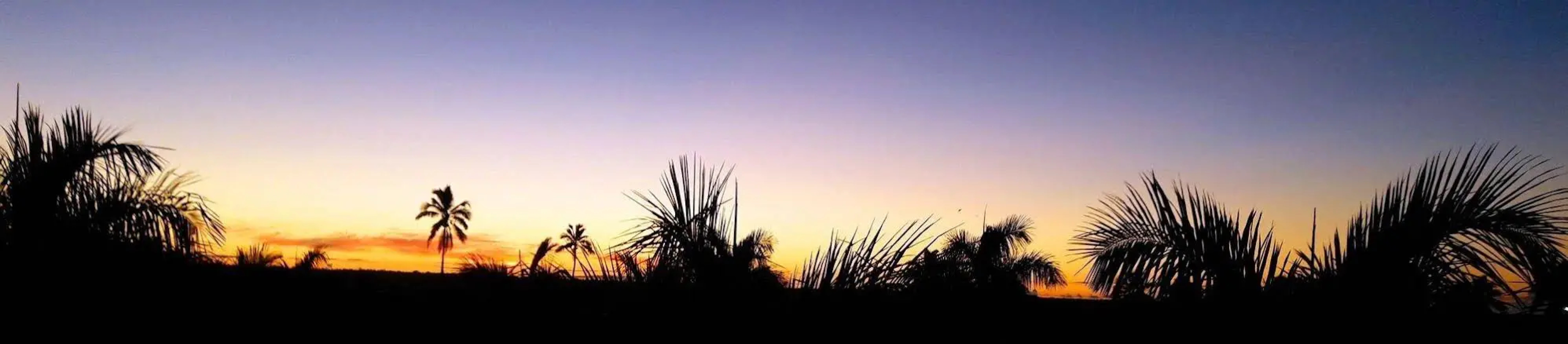 Scenic Hotel Tonga