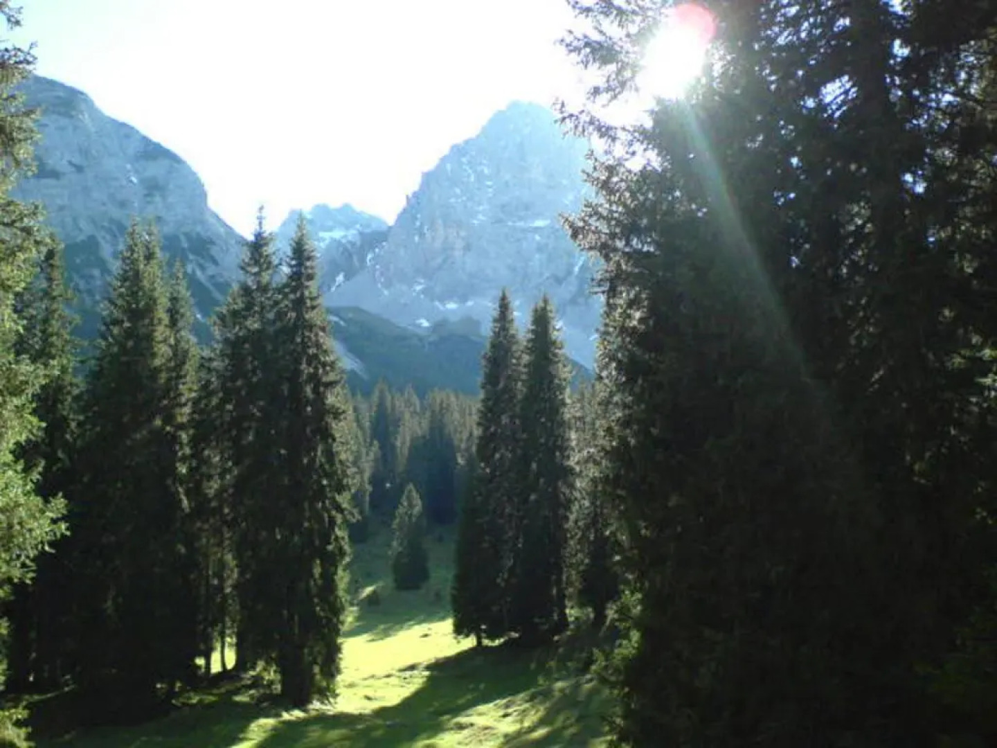 Lärchenwald Appartements