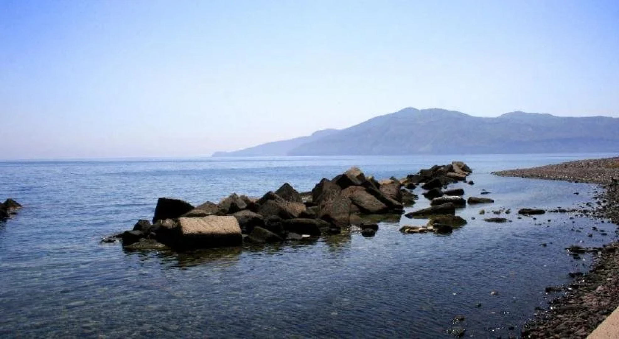 Il Delfino