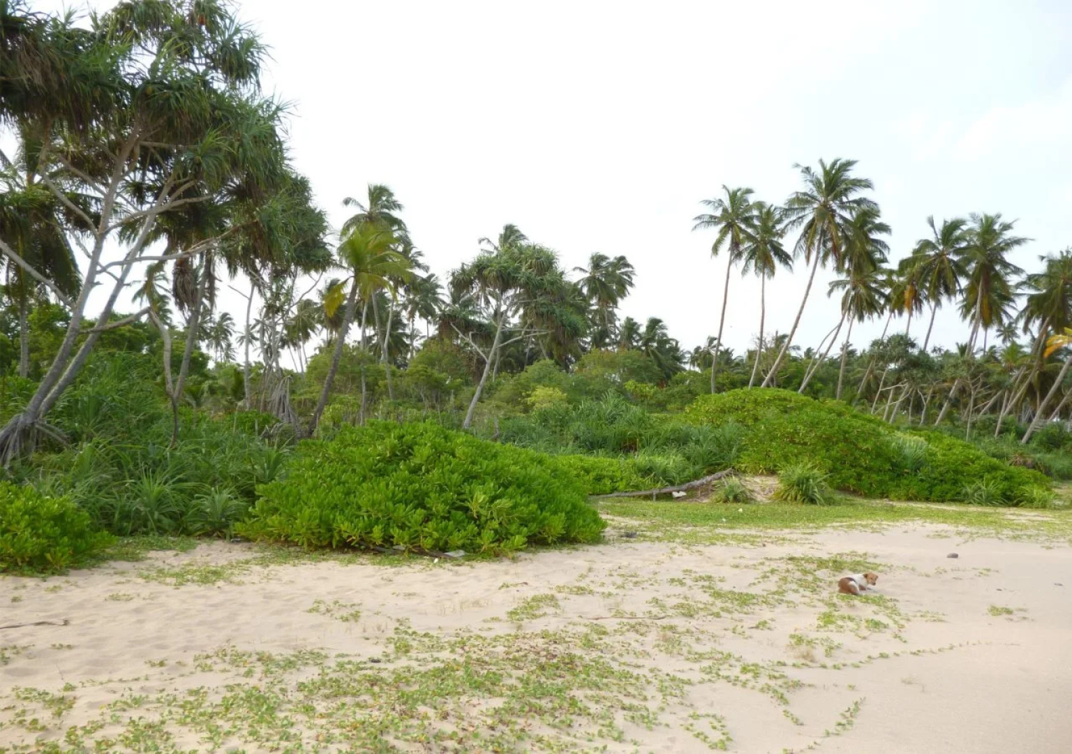 Shaun Garden Holiday Resort