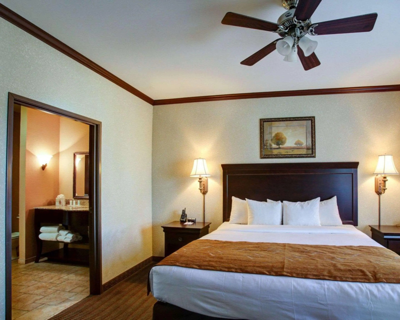 Comfort Suites University Drive