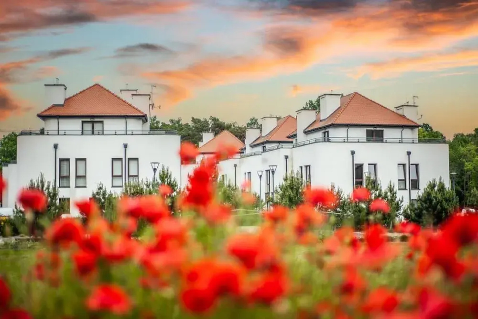 Safari Relaks i Aktywny Wypoczynek Idealna Lokalizacja