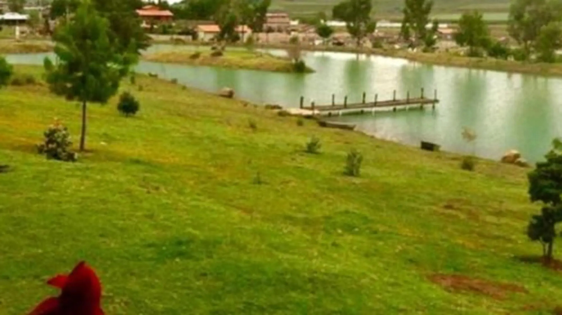 Cabañas Sierra del Tecuan